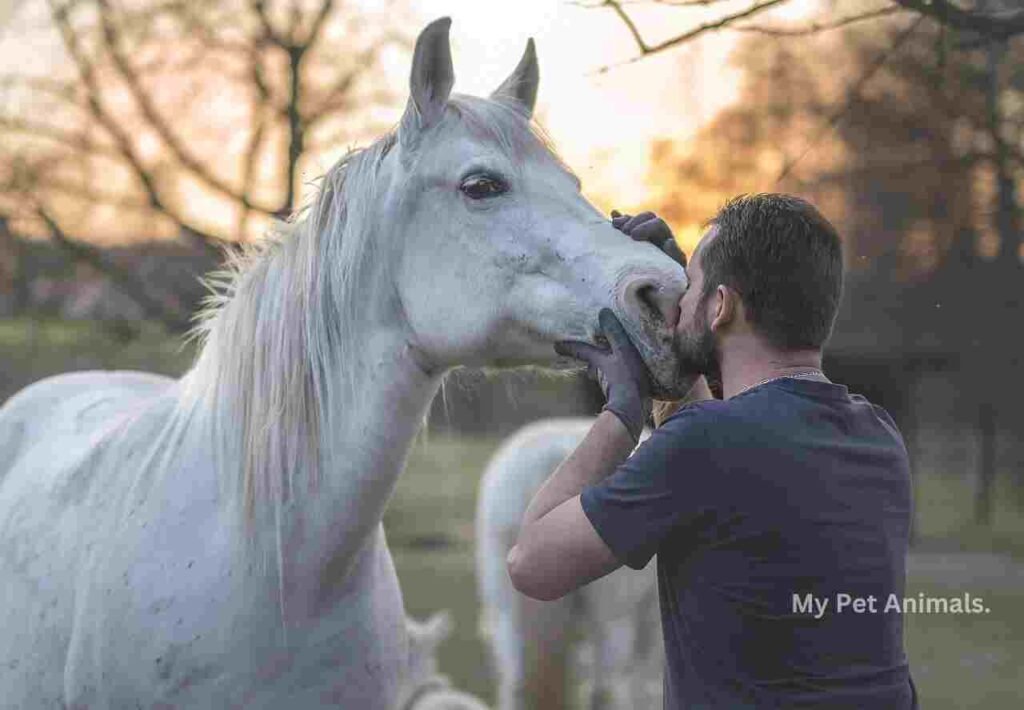 strong german horse names