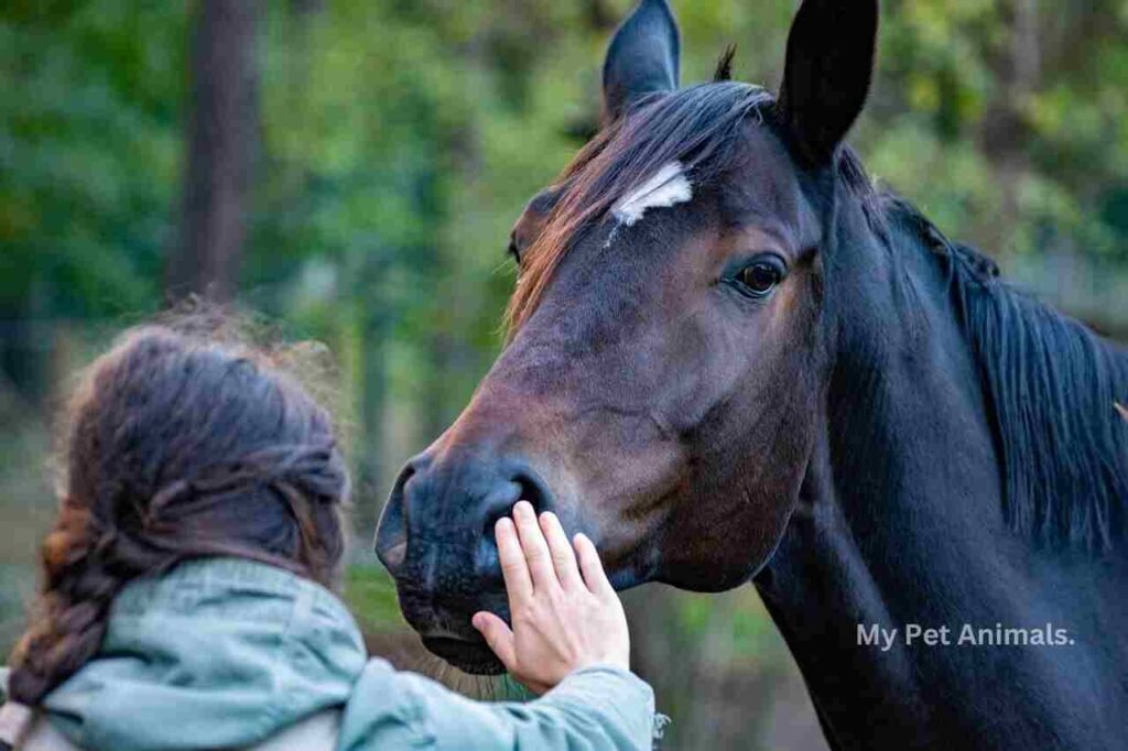 bADASS GERMAN HORSE NAMES