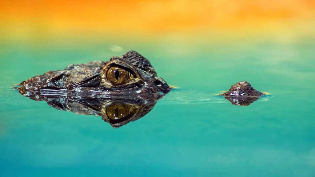 cool crocodile names