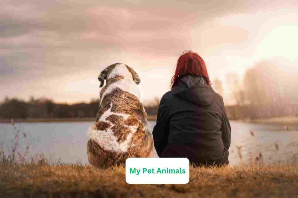 male Spanish pet names