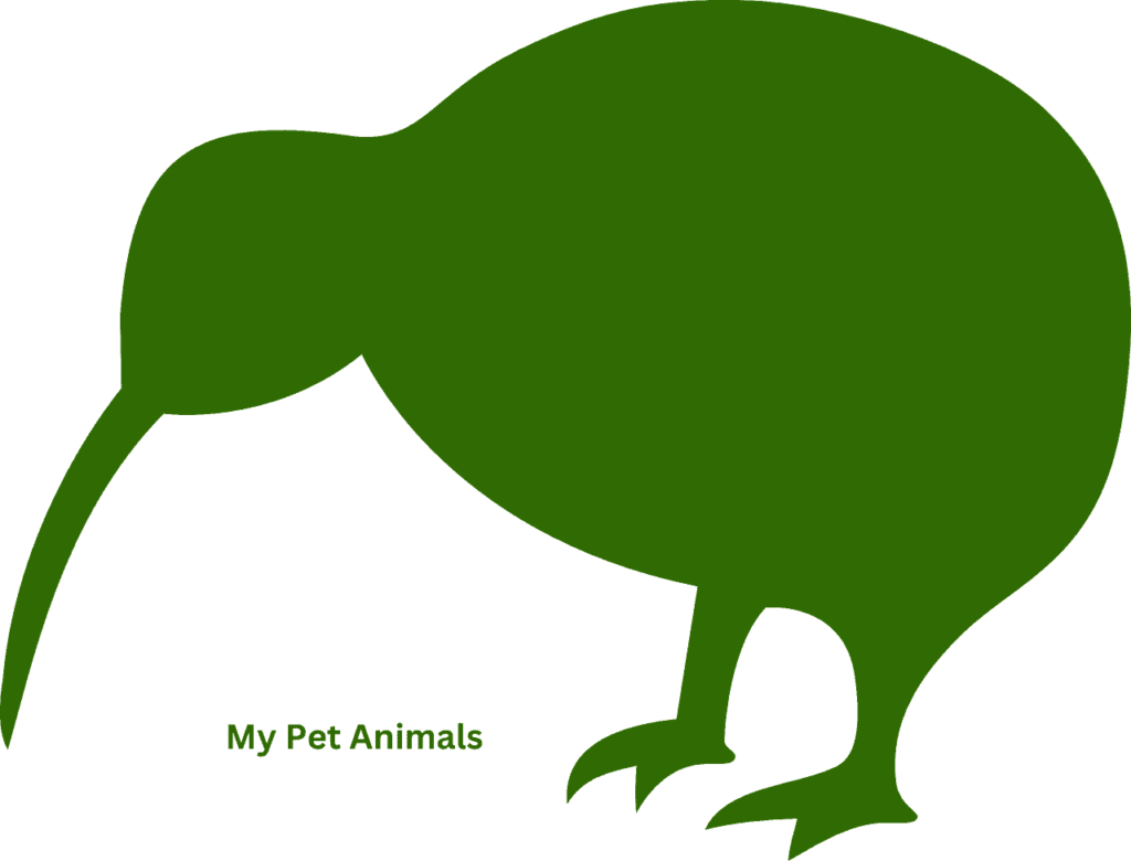 kiwi names