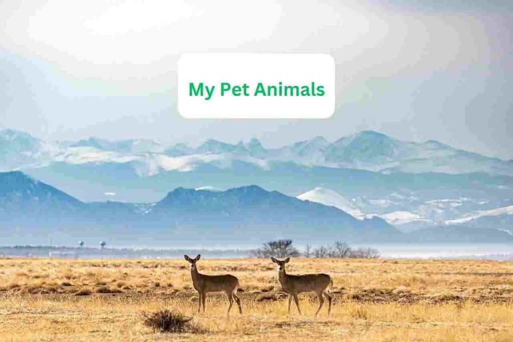 good deer names