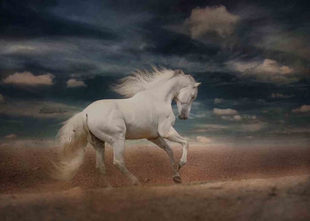 male white horse names