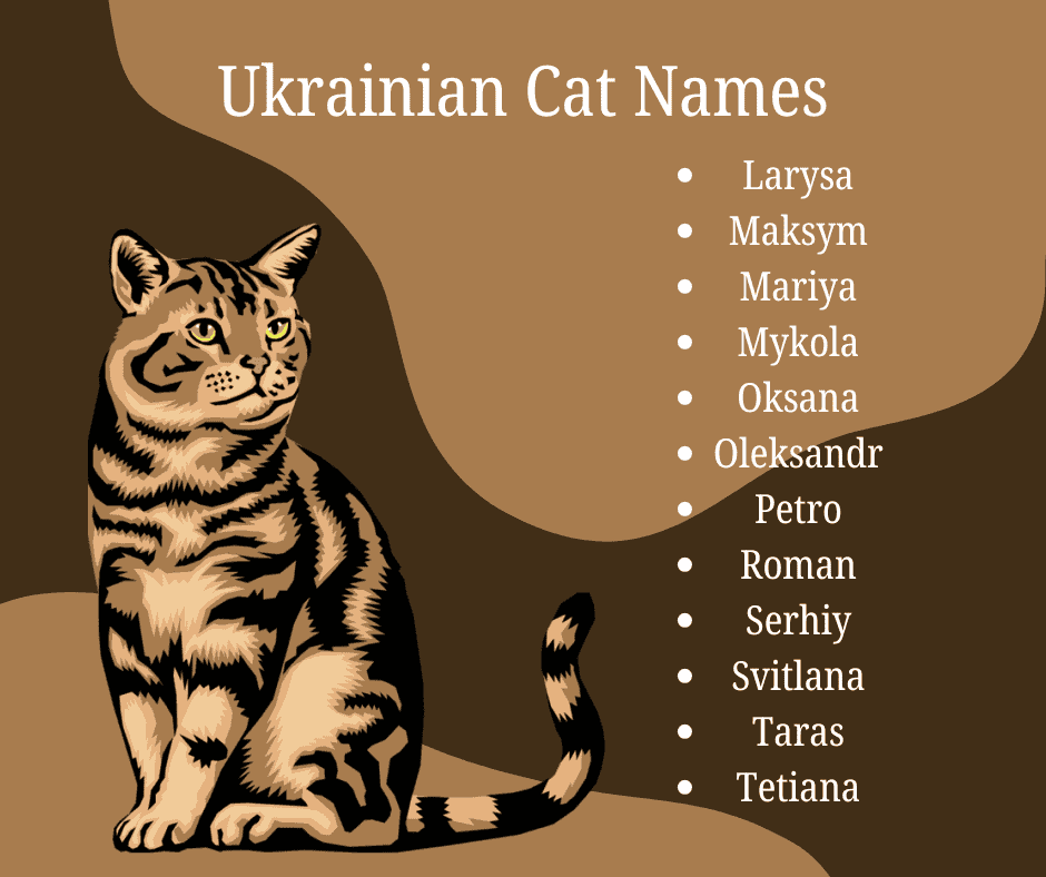 Ukrainian Cat Names