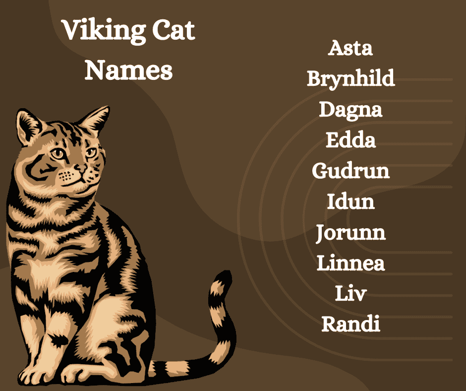 Viking Cat Names