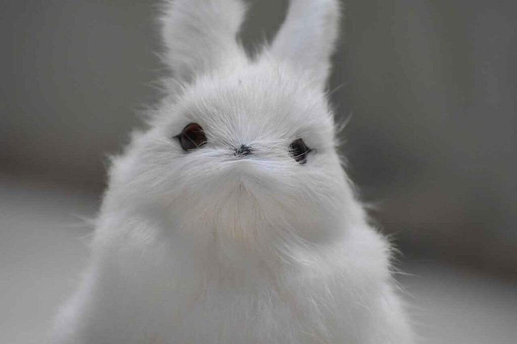 white bunny names