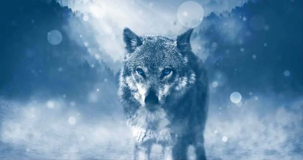 wild animal names
