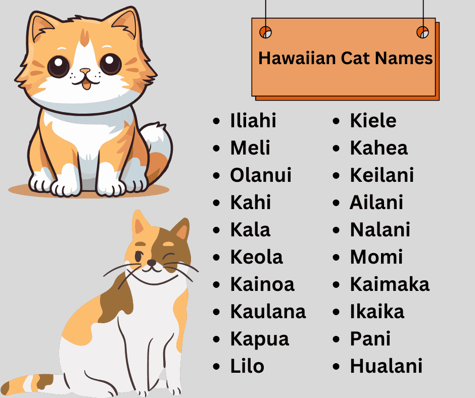 Hawaiian Cat Names